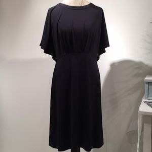 Ann Taylor dress (size Tall)